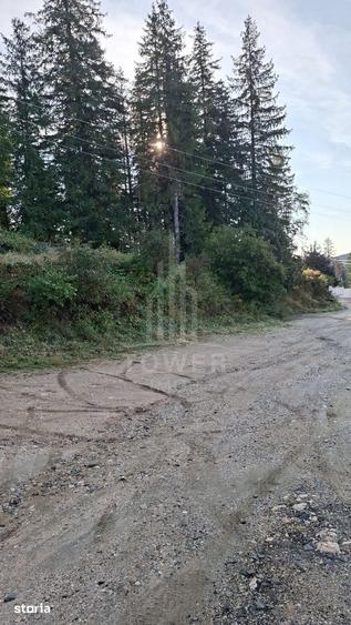 Casă cu Teren 250 Mp în Câineni