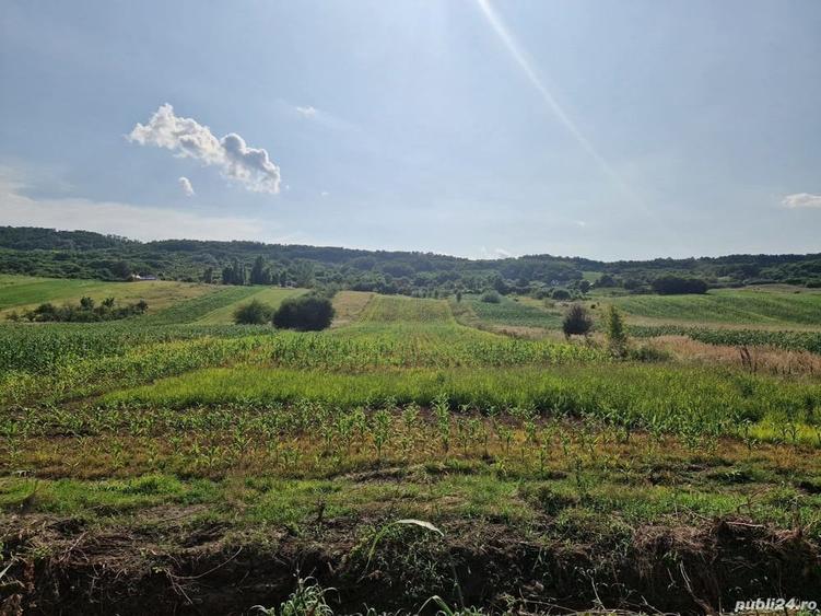 Teren de 9570 mp, în Ionești