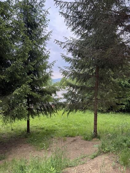 Spațiu comercial, în Sucevița