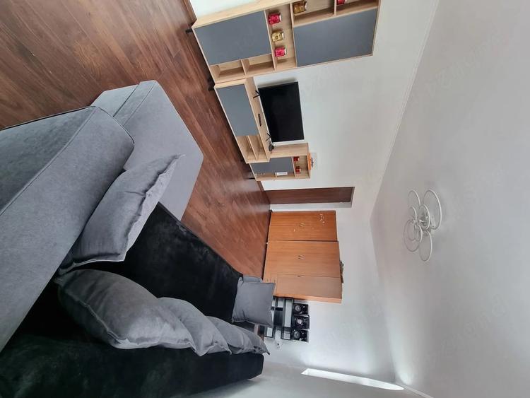 Inchiriere apartament 2 camere Snagov - 7