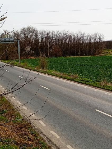 Teren Construcții intravilan de 5000 mp, în Pieții