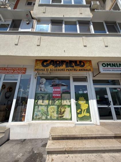 Spațiu comercial, de 18 mp, în Central