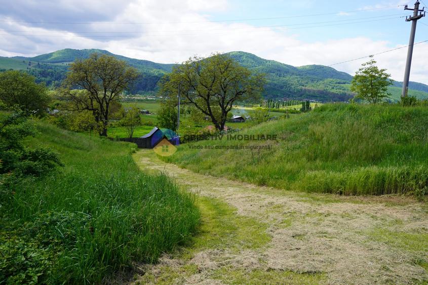 Teren Construcții intravilan de 9000 mp, în Vânători