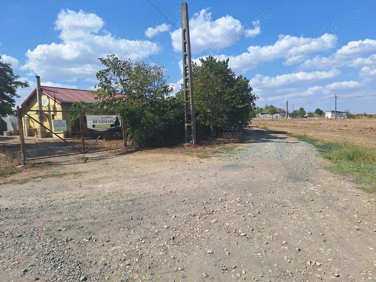 Teren de 10000 mp, în Mihail Kogălniceanu