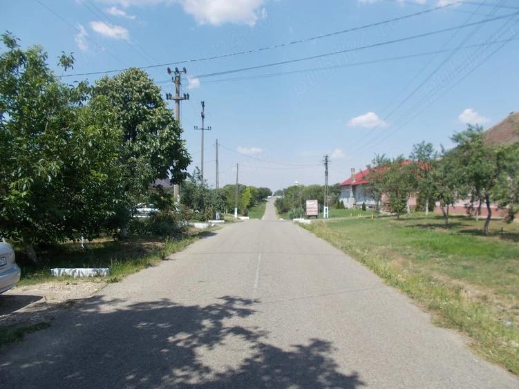 Casă cu 4 camere cu Teren 1906 Mp în Sânandrei