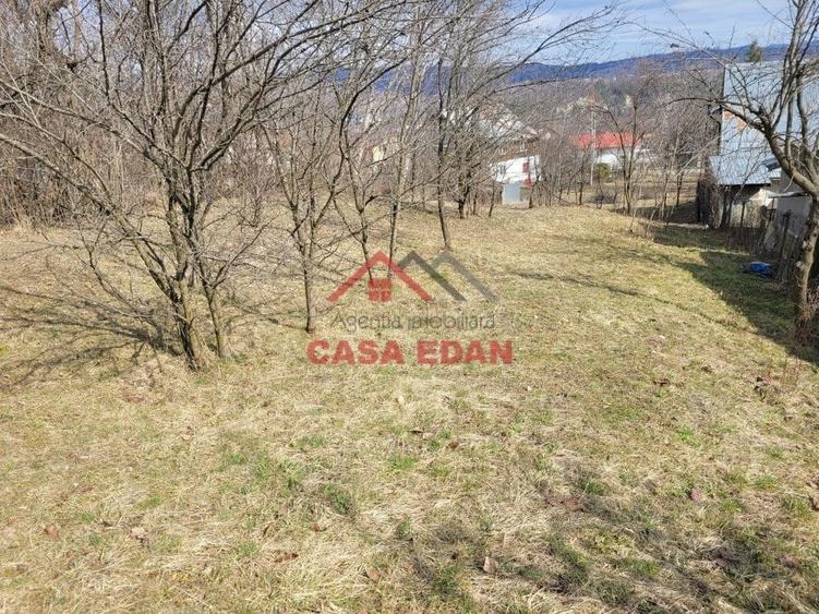 Teren intravilan in Poiana Campina --3676 mp--8e - 13