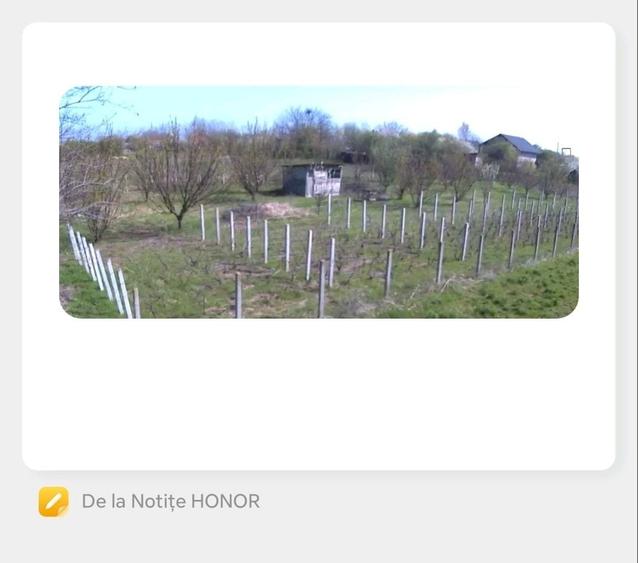 Spațiu comercial, în Gruiu