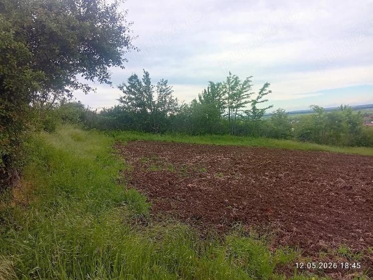 Teren de 1000 mp, în Central