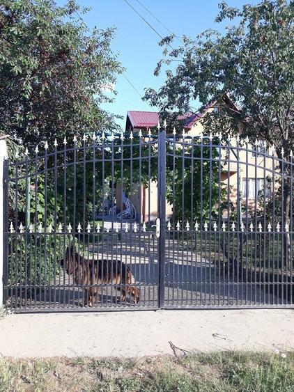 Casă cu Teren 1250 Mp în Brezoaele