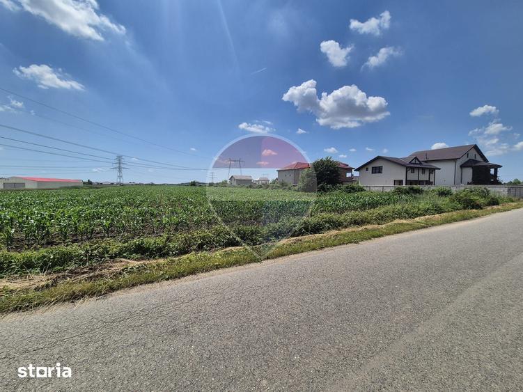 Teren intravilan de vanzare 4.087 mp Clinceni Olteni Ilfov - 4