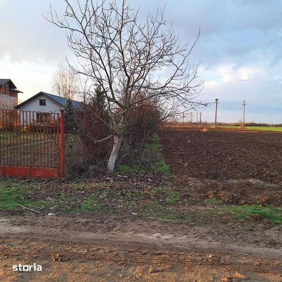 Teren de 80 mp, în Halmeu