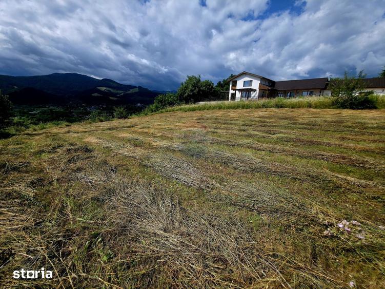 Teren de 600 mp, în Alexandru cel Bun