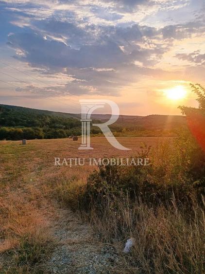 Teren agricol extravilan de 5755 mp, în Hidișelu de Sus