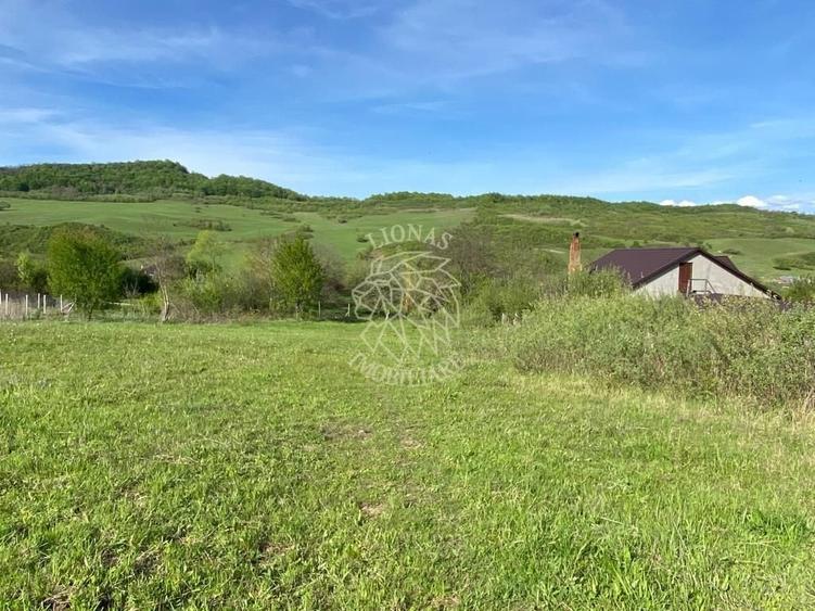 Teren agricol extravilan de 2160 mp, în Jelna