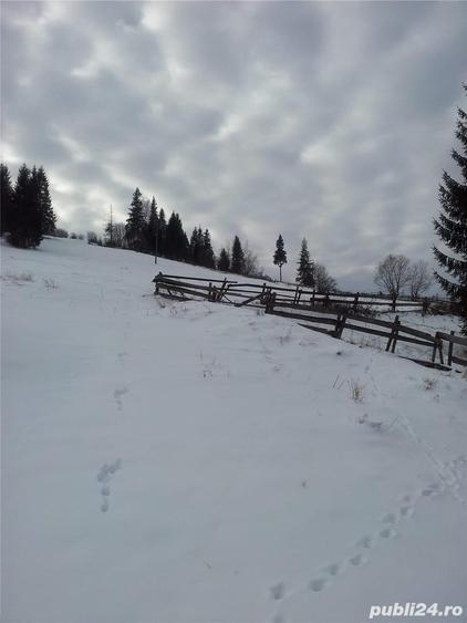 Teren de 5800 mp, în Central