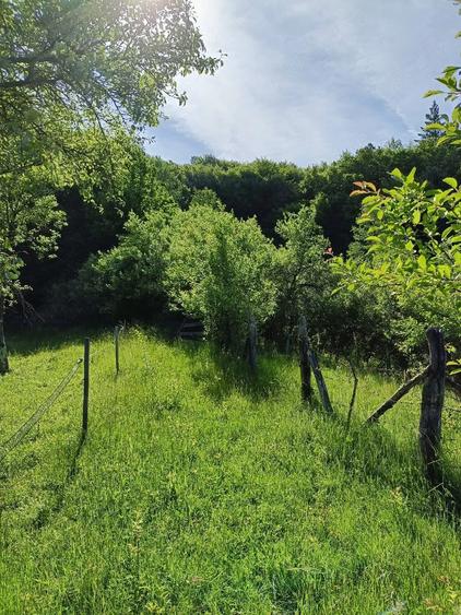 Teren de 844 mp, în Sălătrucel
