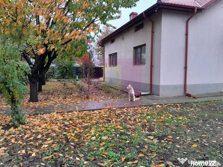 Casă cu 7 camere cu Teren 1500 Mp în Islaz