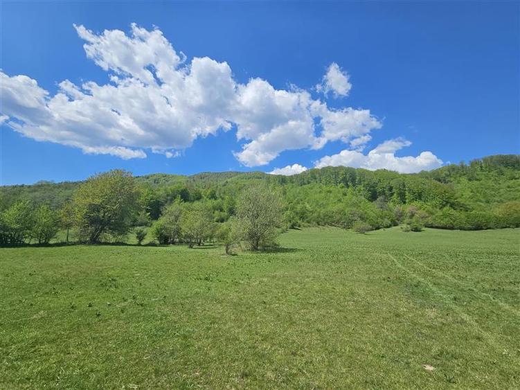 Teren intravilan de 5370 mp, în Poiana Sărată