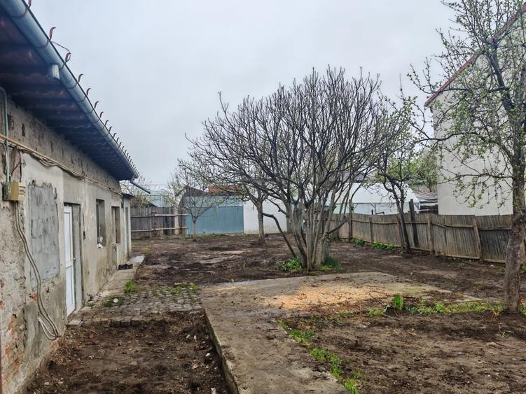 Casă cu 4 camere în Radu Negru
