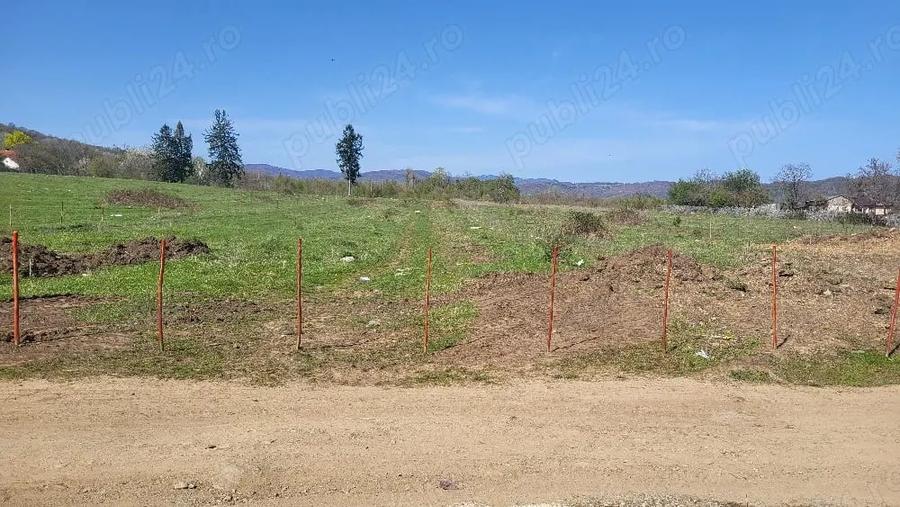 Teren de 7500 mp, în Voila