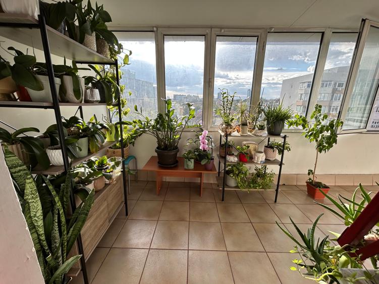 Apartament cu 2 camere semidecomandat în Dorobanți