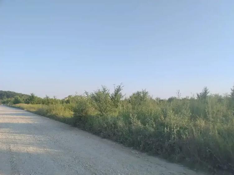 Teren intravilan de 2200 mp, în Sisești
