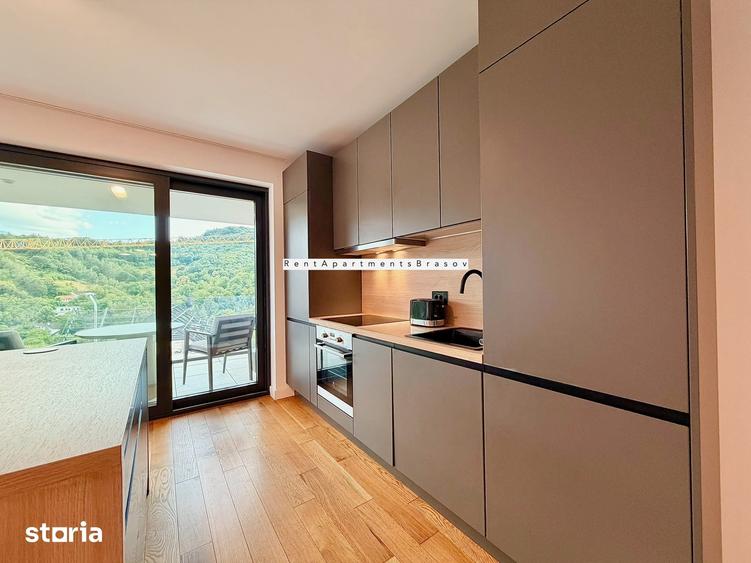 Apartament 2 camere / pet friendly-Complex Stejeris Drumul Poienii - 12