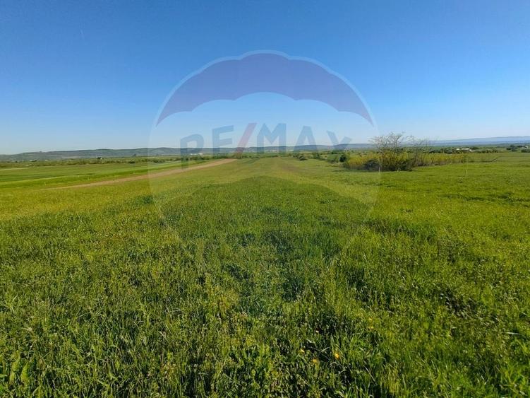 Teren agricol extravilan de 1668 mp, în Gura Râului