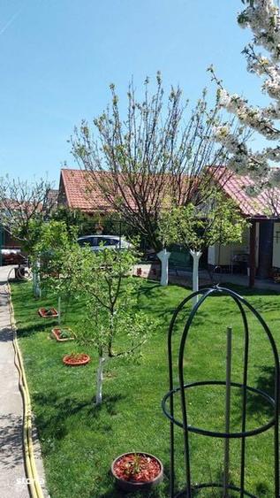 Casa de Vanzare Buftea-Manastirea - 5
