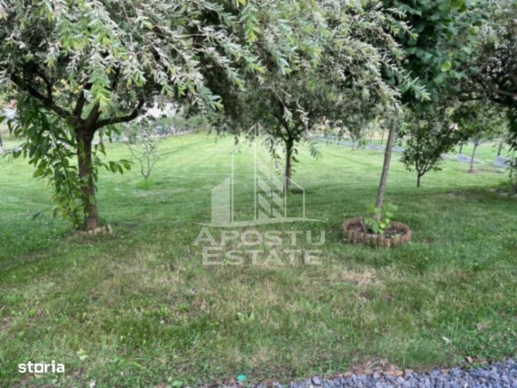 Casă cu Teren 31300 Mp în Central