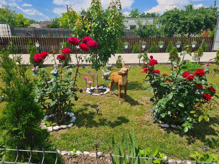 Casă cu 4 camere cu Teren 1049 Mp în Corbu (Glodeanu-Siliștea)