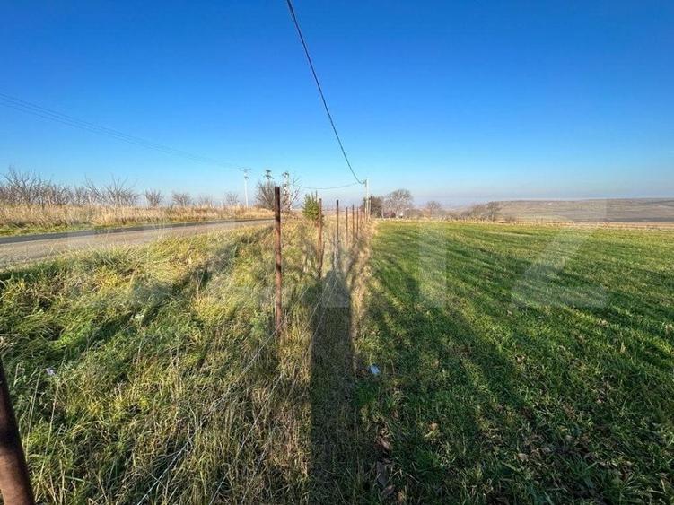 Teren Construcții intravilan de 13000 mp, în Lucăcești