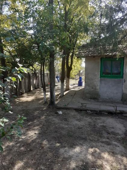 Casă cu 3 camere în Horia