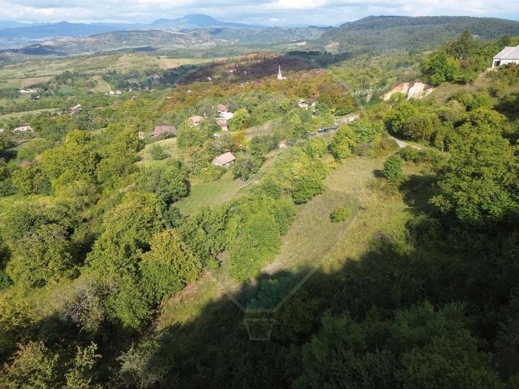 Teren Construcții de 5000 mp, în Măgureni