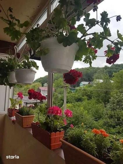 Apartament cu 3 camere decomandat în Merei