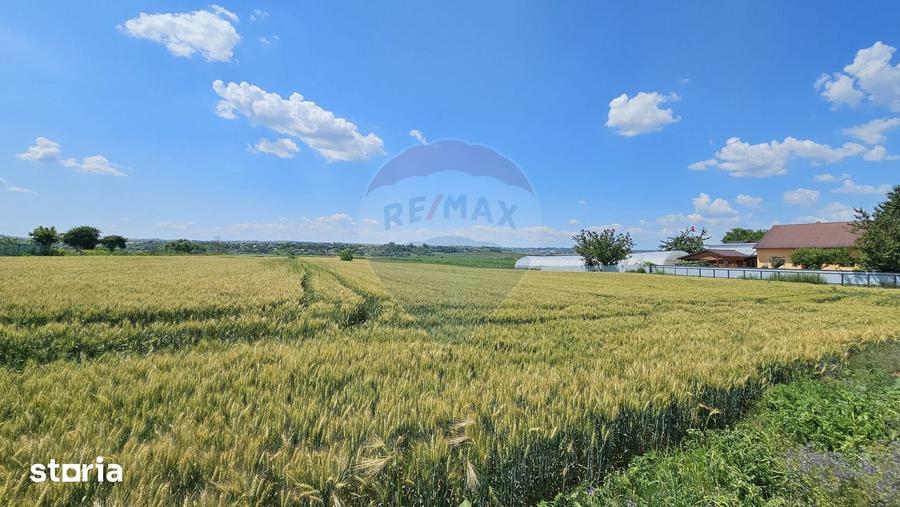 Teren de 15000 mp, în Central