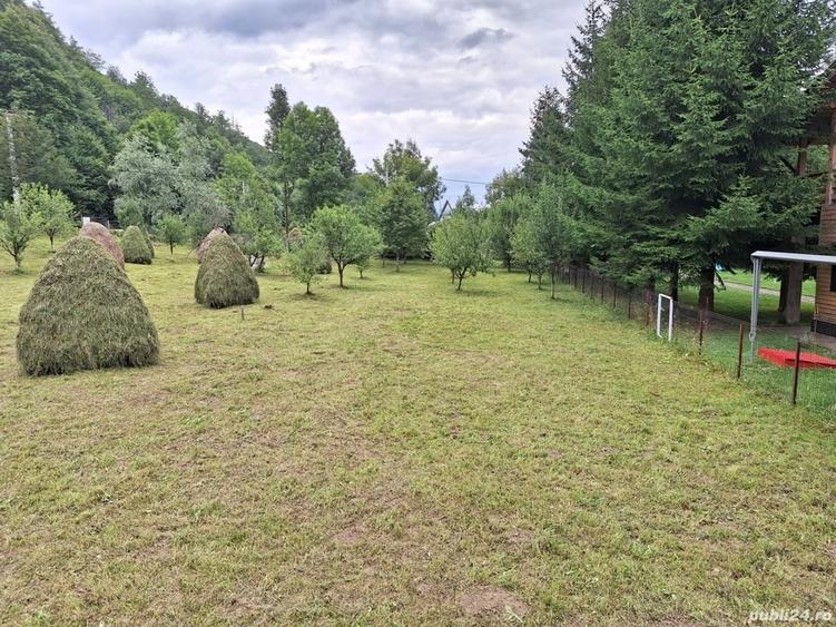 Teren de 1700 mp, în Valea Doftanei