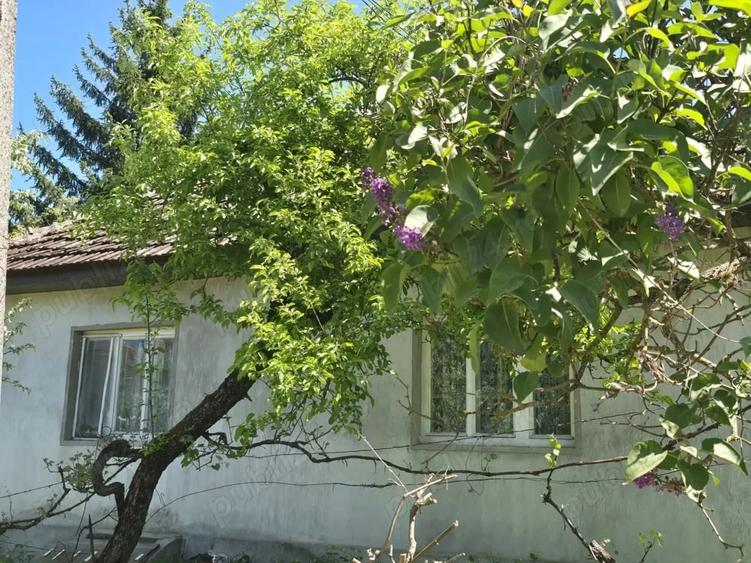 Casă cu Teren 33 Mp în Central