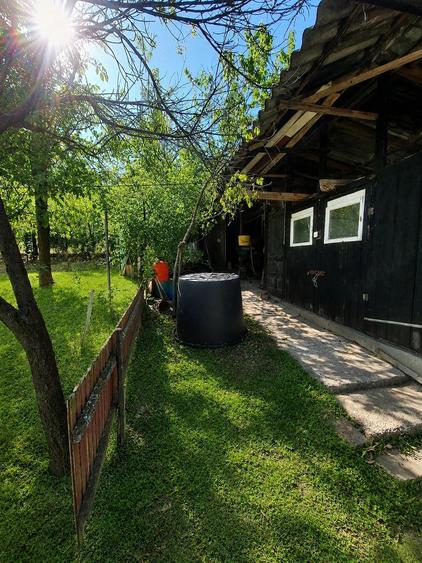Casă cu 2 camere cu Teren 4400 Mp în Viile Satu Mare