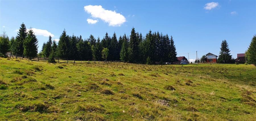 Teren Construcții de 1350 mp, în Beliș