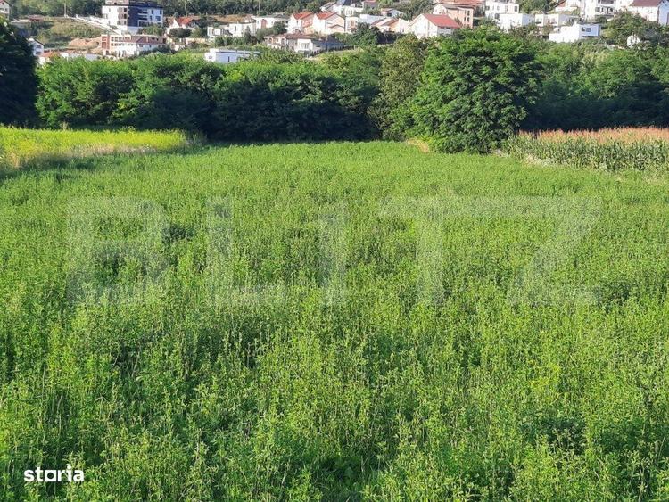 Teren de 1000 mp, în Borhanci