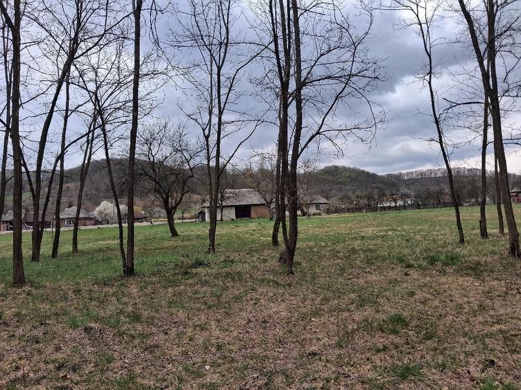 Teren de 5500 mp, în Făurești
