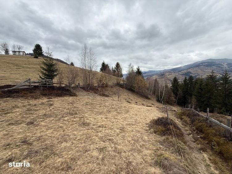 Teren de 1700 mp, în Albac