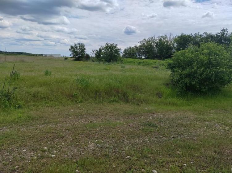 Teren de 114000 mp, în Ariceștii Rahtivani