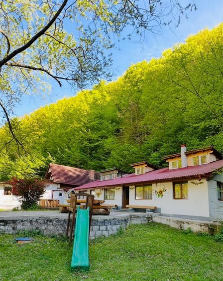 Casă cu 4 camere cu Teren 3000 Mp în Strungari