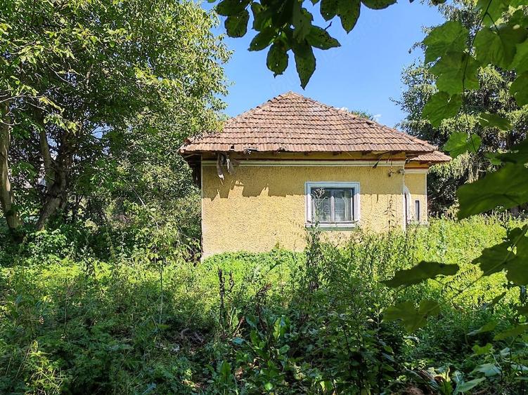 Teren de 5000 mp, în Central