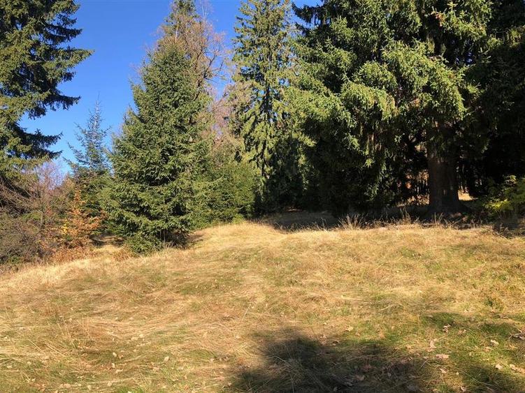 Teren extravilan de 4900 mp, în 13 Decembrie