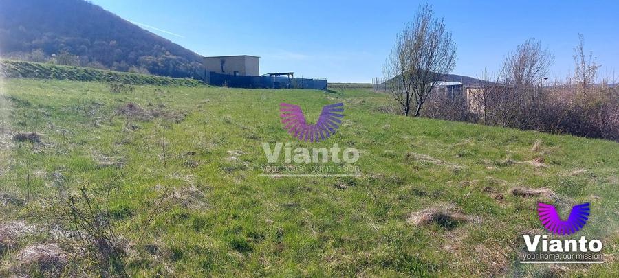 Teren agricol extravilan de 1500 mp, în Poplaca