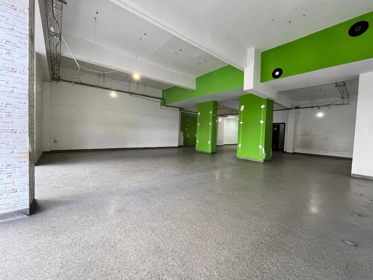 Spațiu comercial, de 204.32000732422 mp, în Doamna Ghica