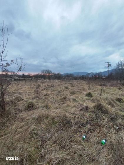 Vand sau schimb teren intravilan, 2700 mp, in Cornesti - 1